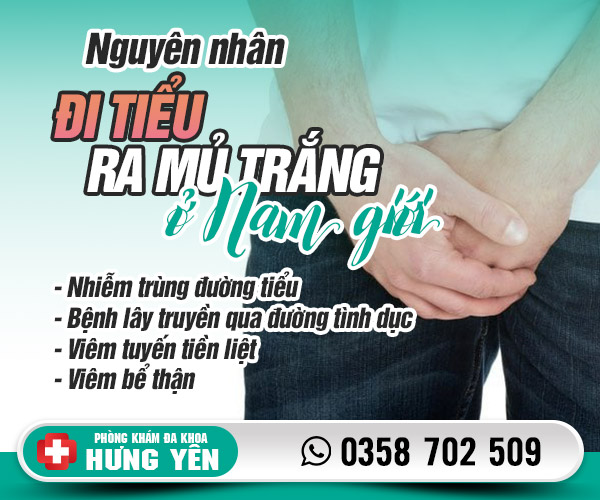 Nguyên nhân đi tiểu ra mủ trắng ở nam giới