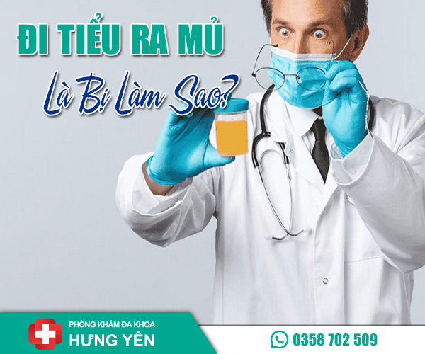 Đi tiểu ra mủ là bị làm sao