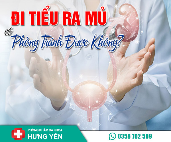 Đi tiểu ra mủ có phòng tránh được không