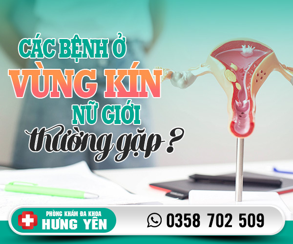 Các bệnh ở vùng kín nữ giới thường gặp