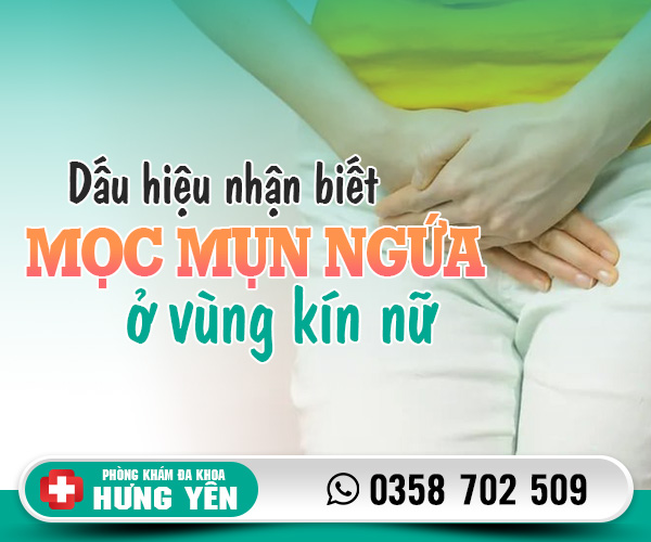 Dấu hiệu nhận biết mọc mụn ngứa ở vùng kín nữ