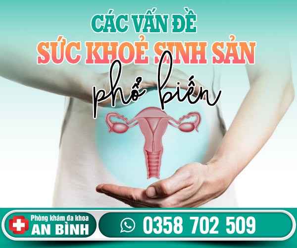 Các vấn đề sức khỏe sinh sản phổ biến