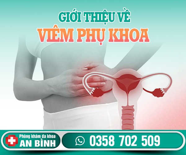 Giới thiệu về viêm phụ khoa