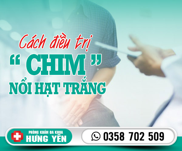 Cách điều trị chim nổi hạt trắng