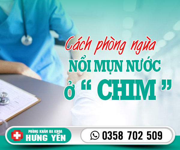 Cách phòng ngừa nổi mụn nước ở chim