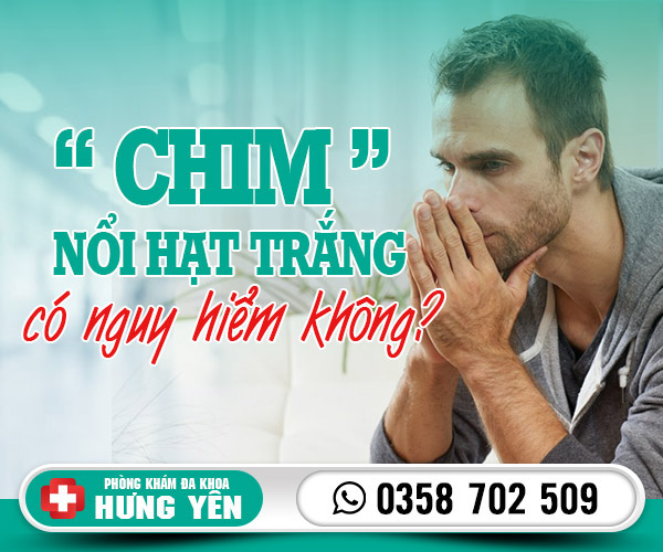 Chim nổi hạt trắng co nguy hiểm không