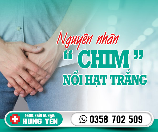 Nguyên nhân chim nổi hạt trắng