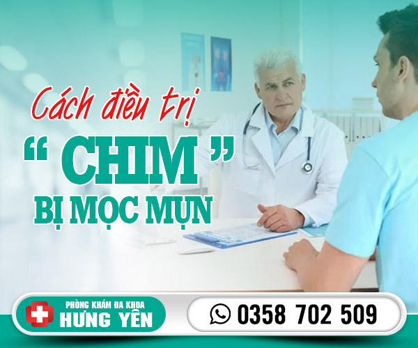 Cách điều trị chim bị mọc mụn