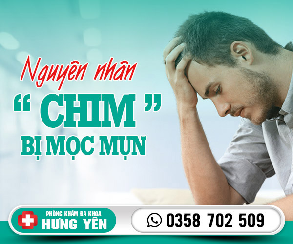 Nguyên nhân chim bị mọc mụn