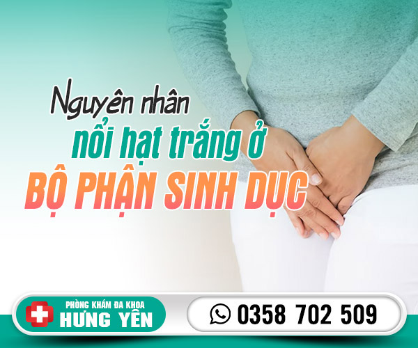 Nguyên nhân nổi hạt trắng ở bộ phận sinh dục